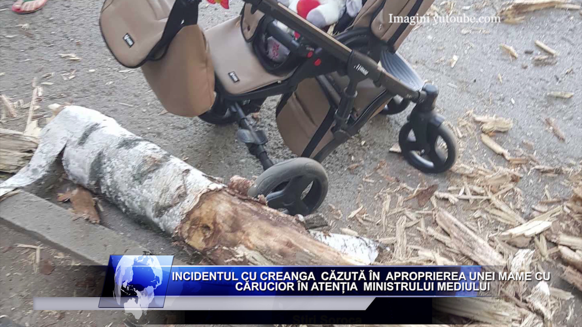 Incidentul cu creanga  căzută în  aproprierea unei mame cu cărucior în atenția  Ministrului Mediului