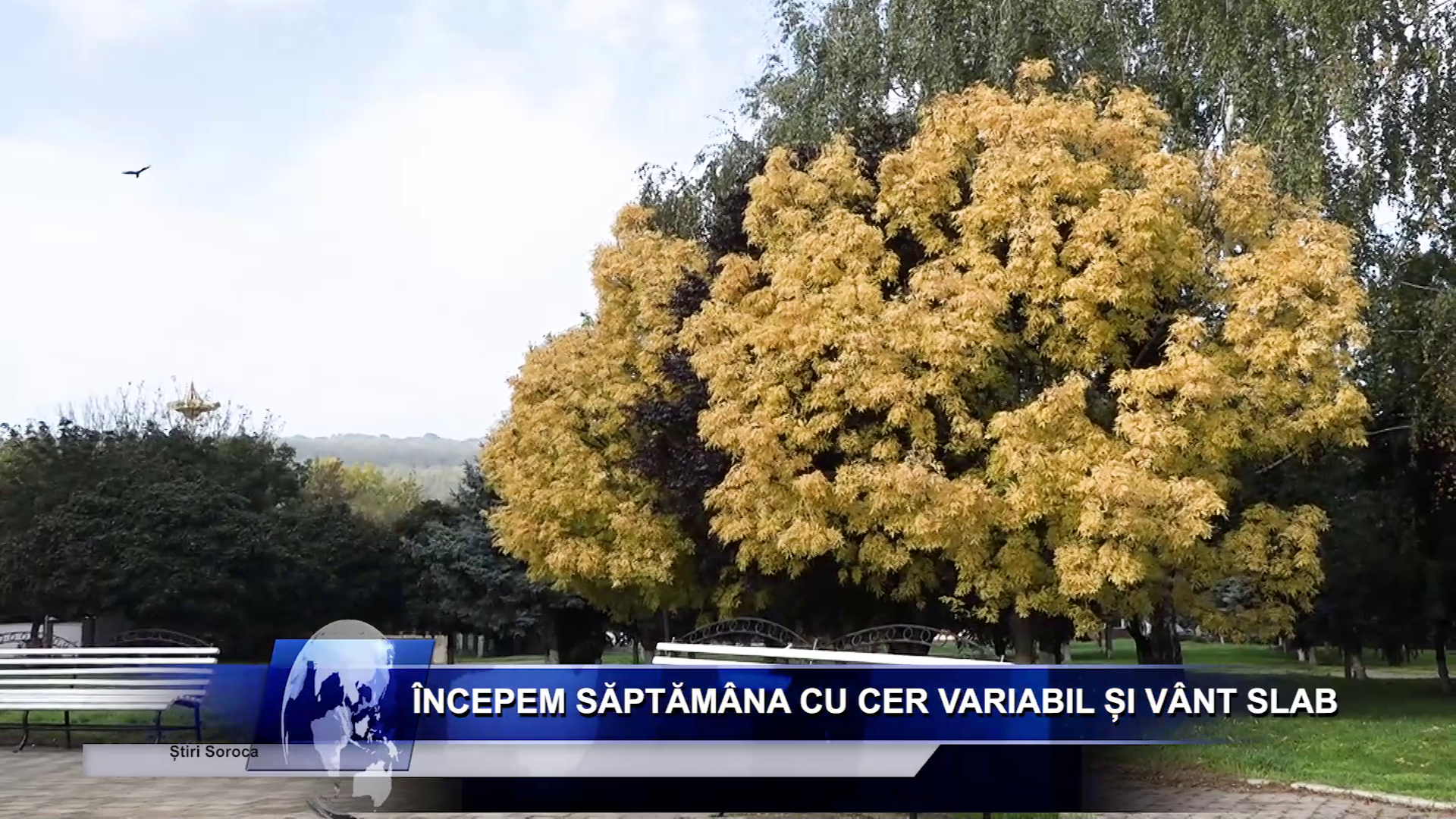 Salariu_mare_și_un_loc_de_muncă_aproape_de casă_Ceși_mai_doresc_candidații_moldoveni_LucruMD