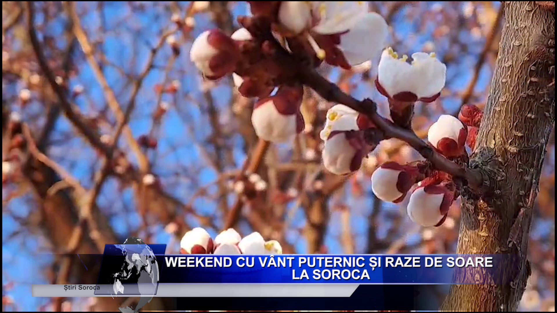 Salariu_mare_și_un_loc_de_muncă_aproape_de casă_Ceși_mai_doresc_candidații_moldoveni_LucruMD