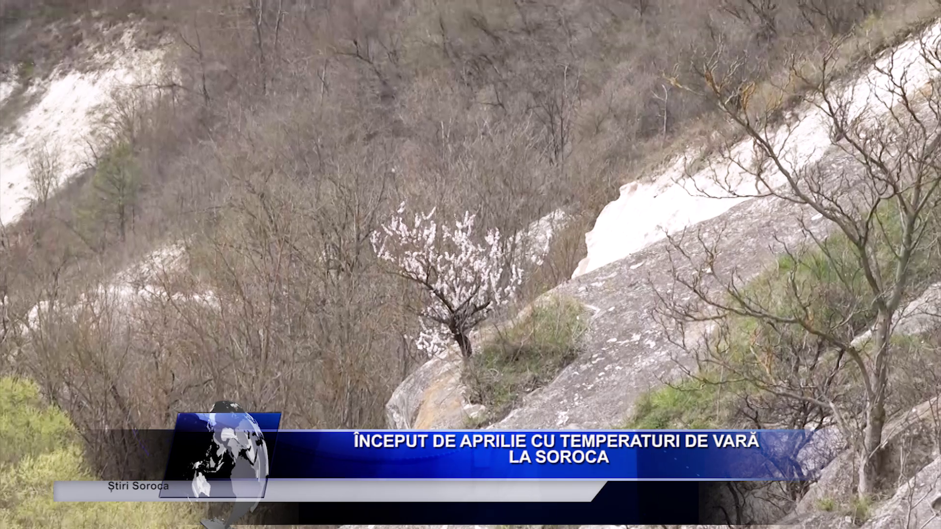 Salariu_mare_și_un_loc_de_muncă_aproape_de casă_Ceși_mai_doresc_candidații_moldoveni_LucruMD