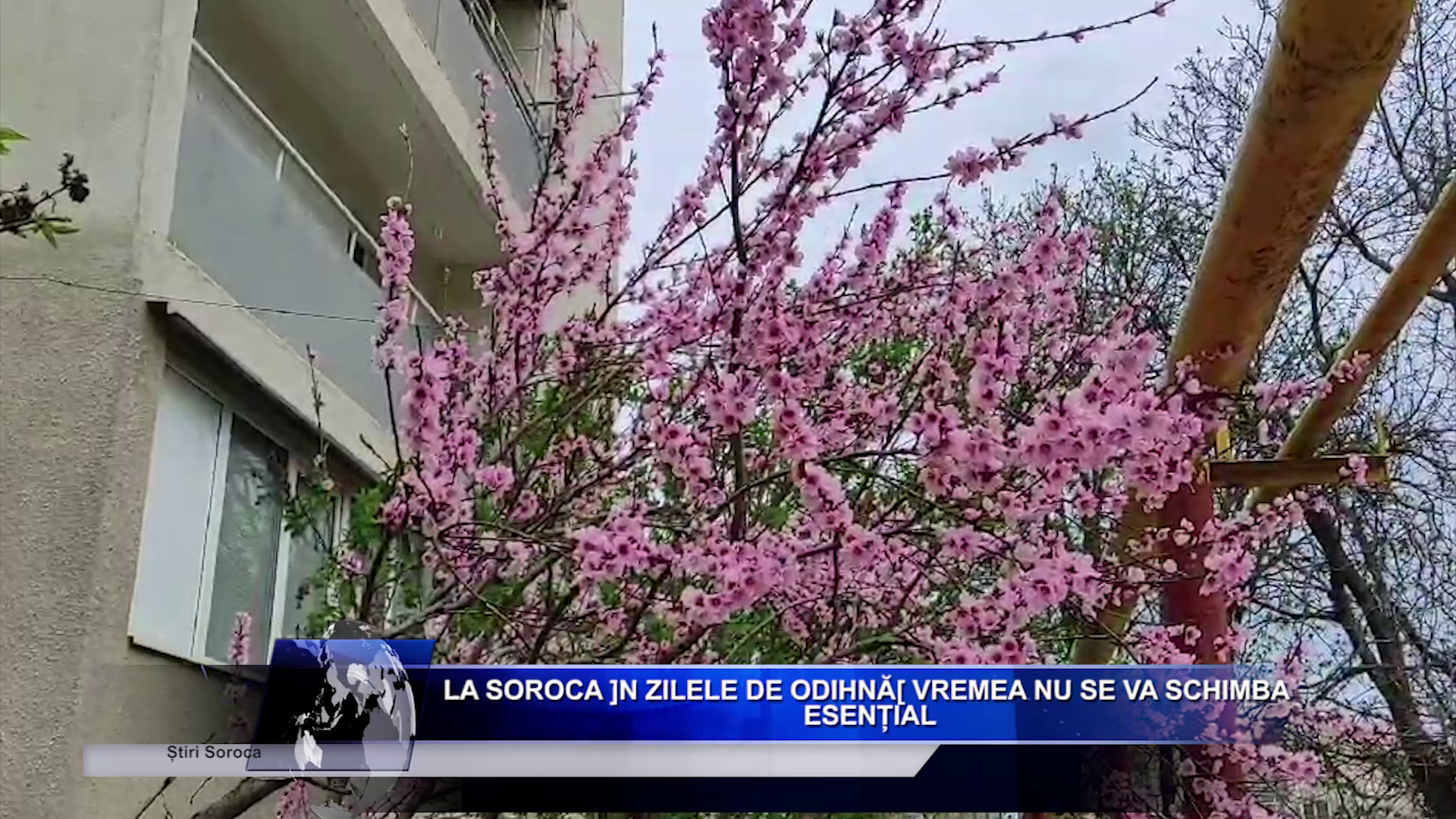 Salariu_mare_și_un_loc_de_muncă_aproape_de casă_Ceși_mai_doresc_candidații_moldoveni_LucruMD