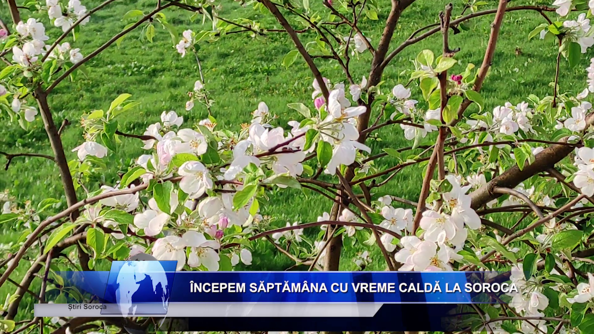 Salariu_mare_și_un_loc_de_muncă_aproape_de casă_Ceși_mai_doresc_candidații_moldoveni_LucruMD