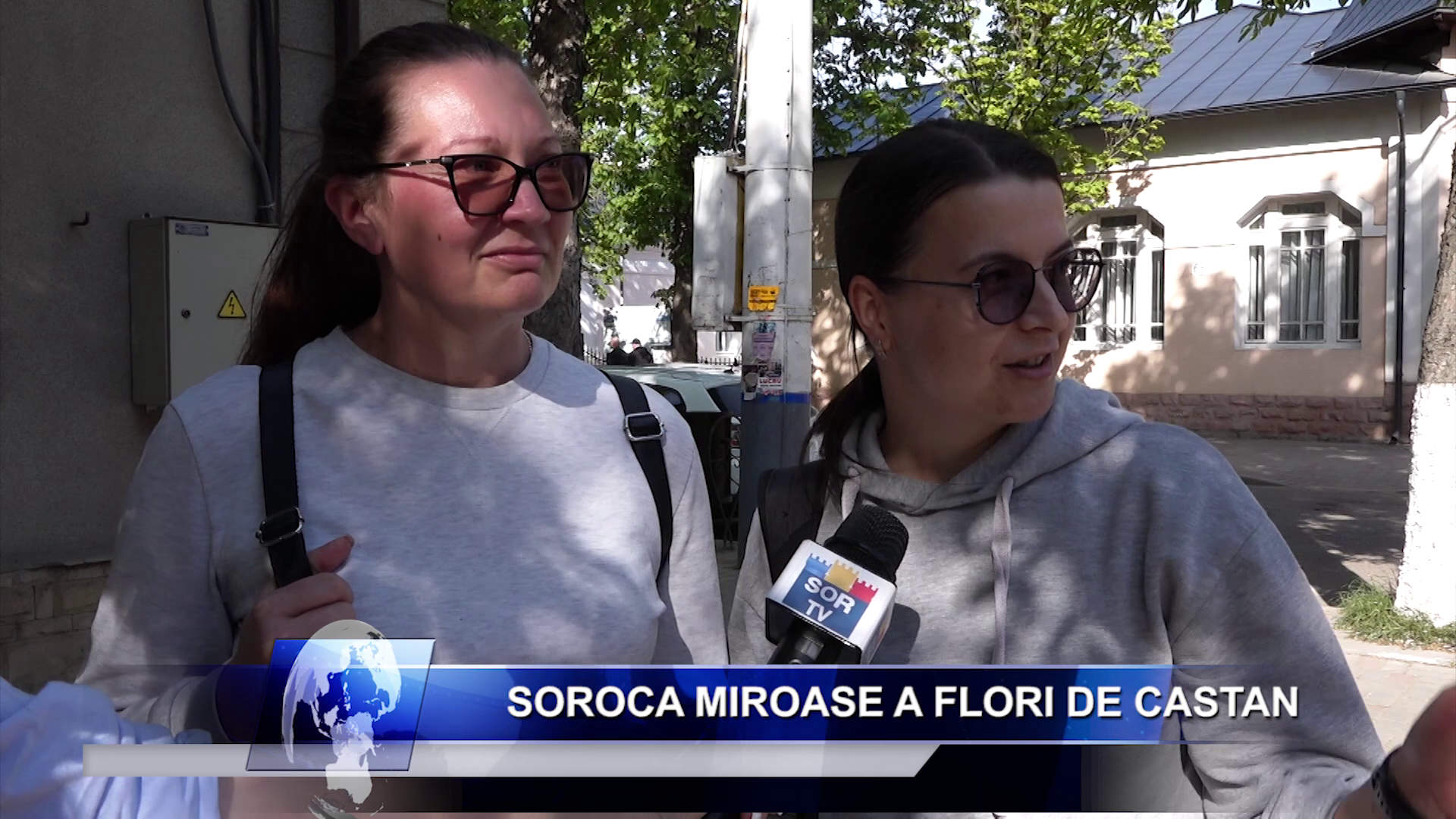 Salariu_mare_și_un_loc_de_muncă_aproape_de casă_Ceși_mai_doresc_candidații_moldoveni_LucruMD