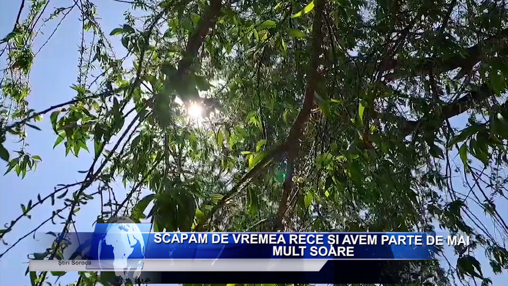 Salariu_mare_și_un_loc_de_muncă_aproape_de casă_Ceși_mai_doresc_candidații_moldoveni_LucruMD