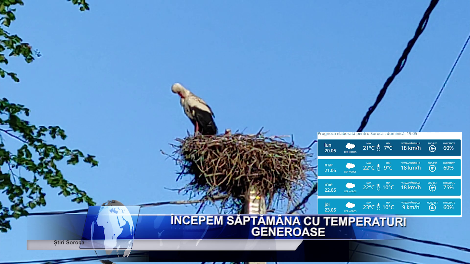 Salariu_mare_și_un_loc_de_muncă_aproape_de casă_Ceși_mai_doresc_candidații_moldoveni_LucruMD