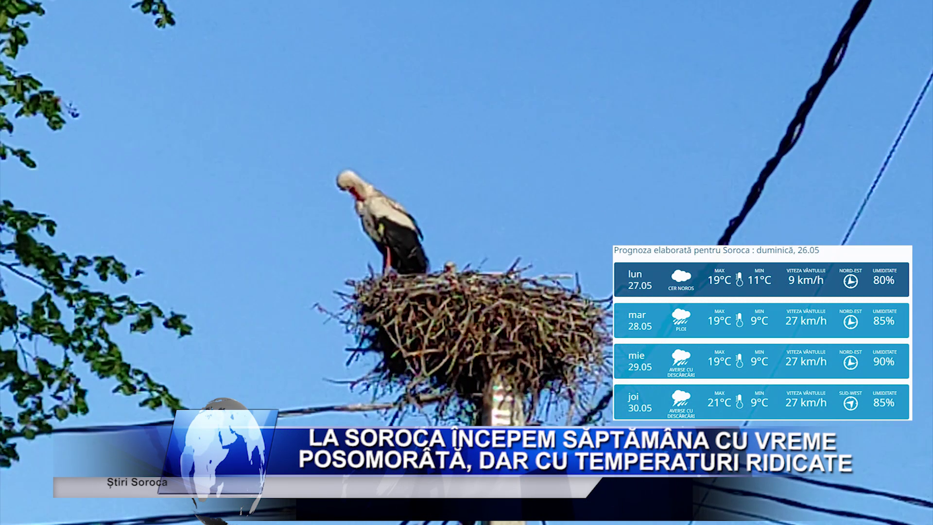 Salariu_mare_și_un_loc_de_muncă_aproape_de casă_Ceși_mai_doresc_candidații_moldoveni_LucruMD