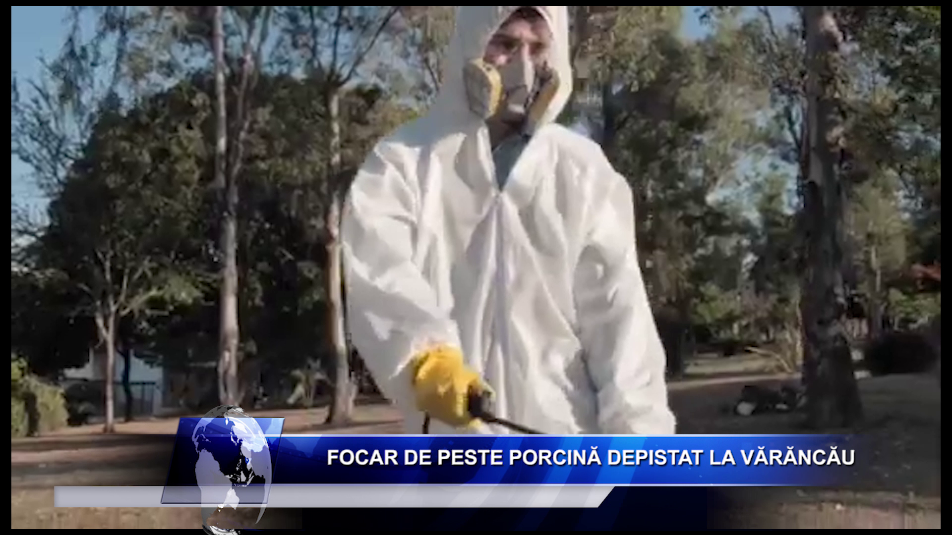 Salariu_mare_și_un_loc_de_muncă_aproape_de casă_Ceși_mai_doresc_candidații_moldoveni_LucruMD