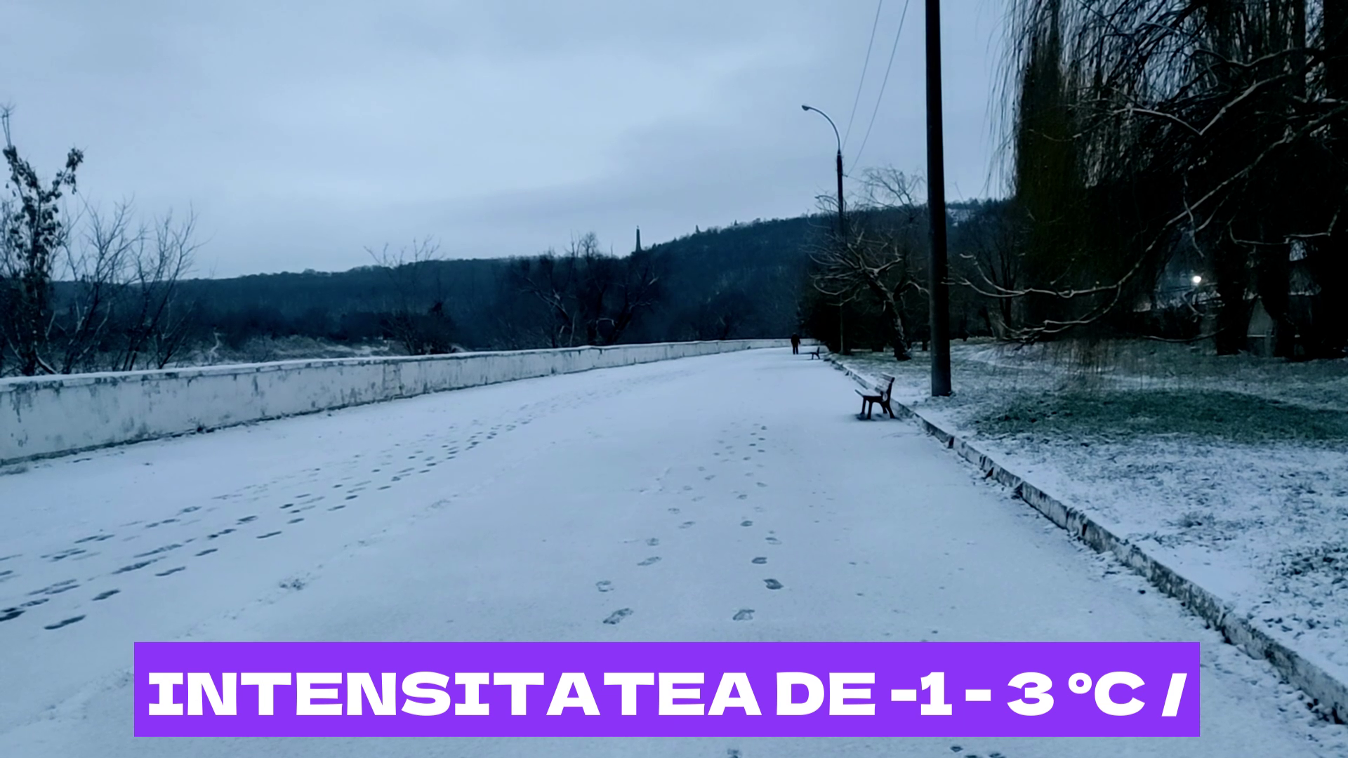 Salariu_mare_și_un_loc_de_muncă_aproape_de casă_Ceși_mai_doresc_candidații_moldoveni_LucruMD