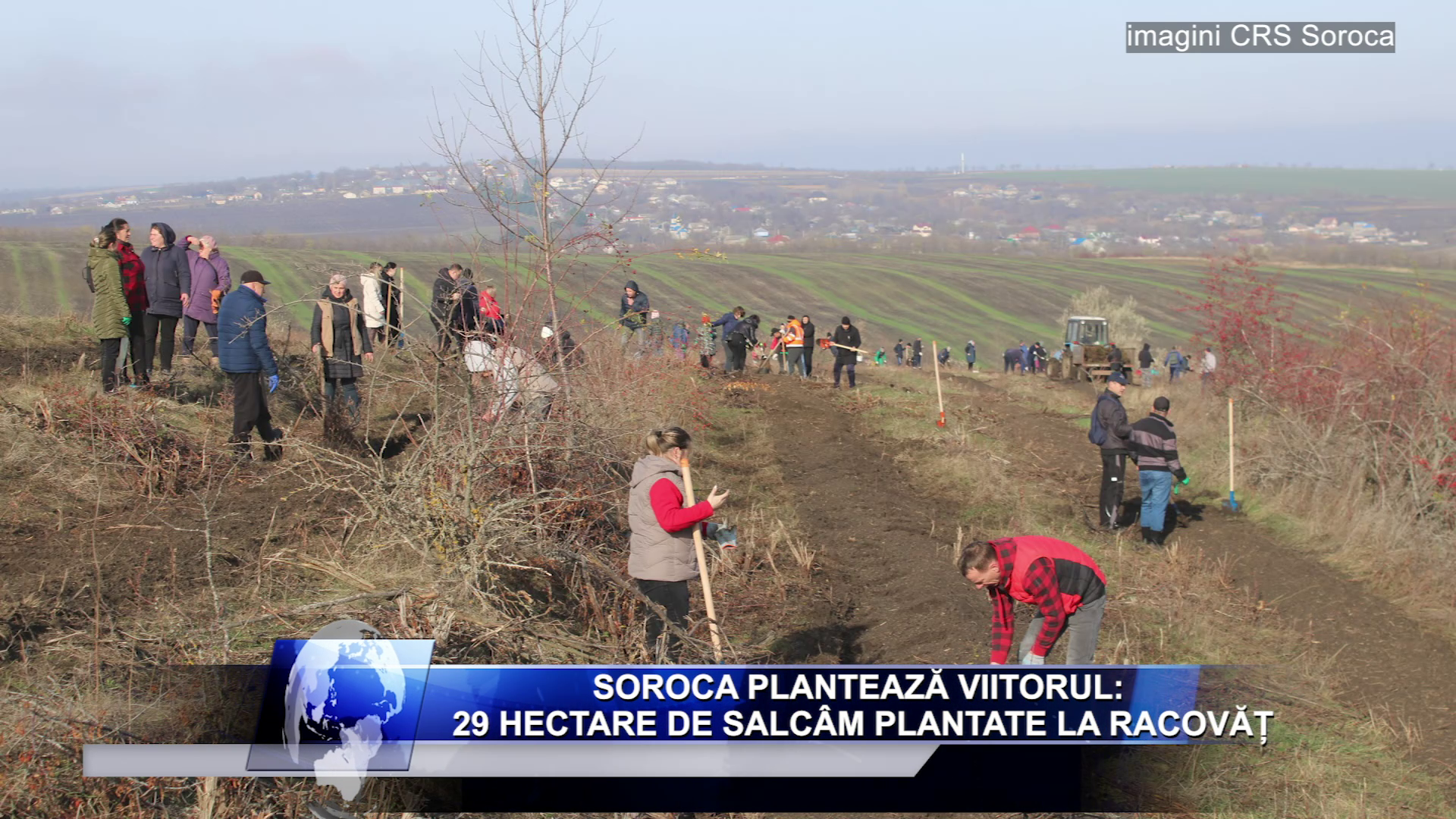 Soroca plantează viitorul: 29 hectare de salcâm plantate la Racovăț