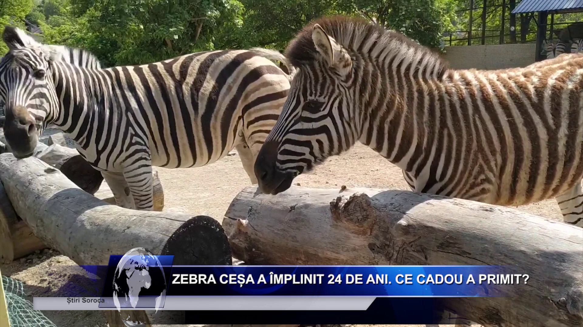 Salariu_mare_și_un_loc_de_muncă_aproape_de casă_Ceși_mai_doresc_candidații_moldoveni_LucruMD